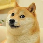 william888555's - Steam avatar