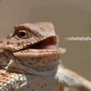 bonesstock's Stream profile image