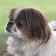 iPeeSeeX's Stream profile image