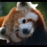 DrFlufyPanda's - Steam avatar