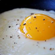 Fried Eggs's - Steam avatar