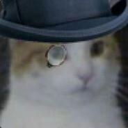 Fez's Stream profile image