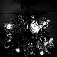 floristree's - Steam avatar