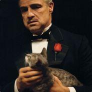 Brian's - Steam avatar