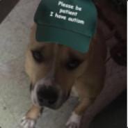 McGee's Stream profile image