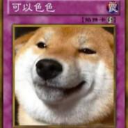 你怎麼打頭就睡's Stream profile image