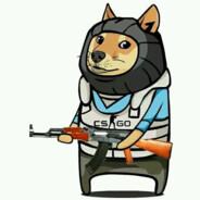 狗熊岭只强's Stream profile image