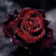 hi's Stream profile image
