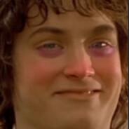 Frodo's Stream profile image