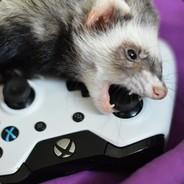 f3zzratius's Stream profile image