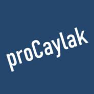 proCaylak's - Steam avatar