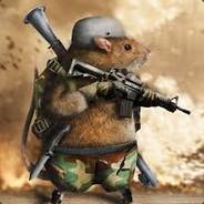 Tropical Rat's Stream profile image