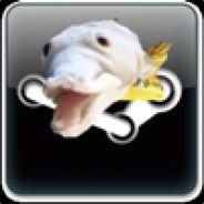 Frank the Fish's Stream profile image