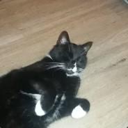 From Zero's Stream profile image