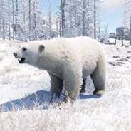 Polar Bear's - Steam avatar