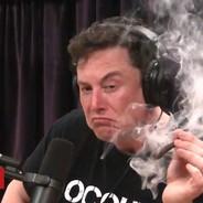 int main() {printf(); return 0;}'s - Steam avatar