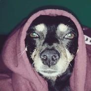 Ðayosh's Stream profile image