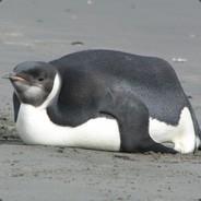 PenguinBlubber's - Steam avatar