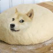 Neopta lames's Stream profile image