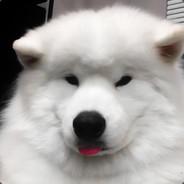 Bennymandeli's Stream profile image