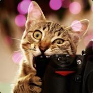 Cmyaiu's - Steam avatar