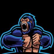 XiquinhoBR's Stream profile image