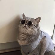 oklahomatoaster's - Steam avatar