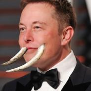 Elon Tusk's Stream profile image