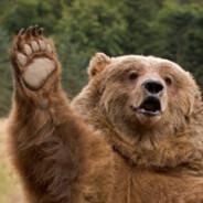 NDGrizzly's - Steam avatar