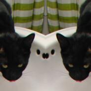 Virtus | Felipe's Stream profile image
