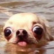 Dim's Stream profile image
