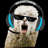 LlamaMachina's Stream profile image