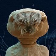 Sheld's - Steam avatar