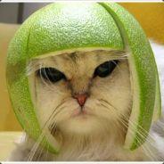 Koen's Stream profile image