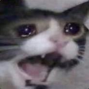 zaneylite's Stream profile image