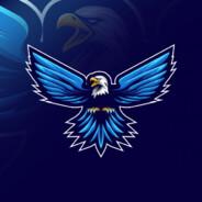 vogelrocker's Stream profile image