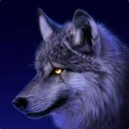 Silent Wolf's Stream profile image