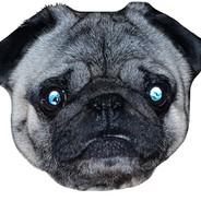 pug's - Steam avatar