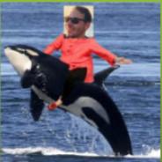 Whale-holio's Stream profile image