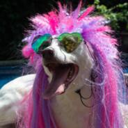 OviO's Stream profile image