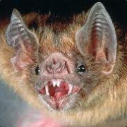 DrDoom's Stream profile image