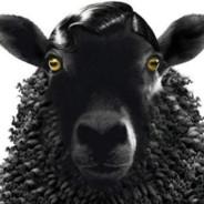 BlackSheep's Stream profile image