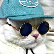 bieL's - Steam avatar