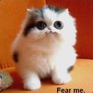 dario's Stream profile image