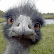 kalevi123's - Steam avatar