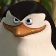 Skipper's Stream profile image
