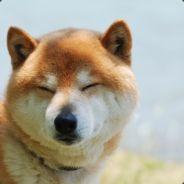 houjiun60229's Stream profile image