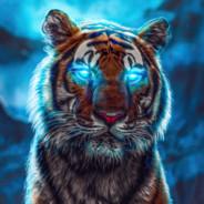 Tygris's Stream profile image