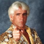 The Nature Boy's - Steam avatar