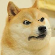 Doge tENSO's Stream profile image